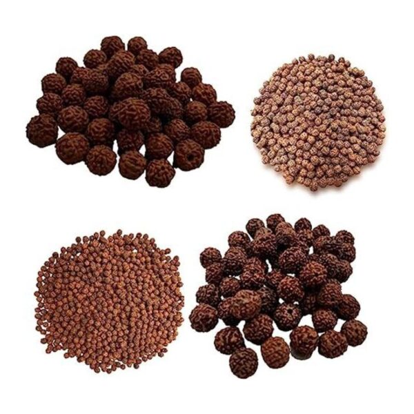 Naisha Rudraksh natural 165 cuentas sueltas RUDRAKSHA