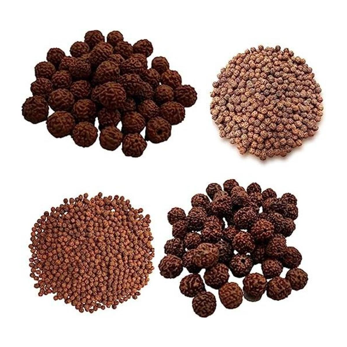 Naisha Rudraksh natural 165 cuentas sueltas RUDRAKSHA