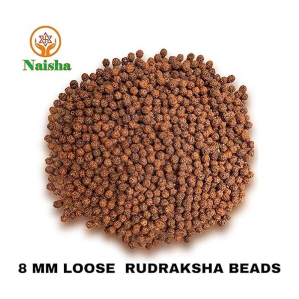 Naisha Rudraksh natural 165 cuentas sueltas RUDRAKSHA