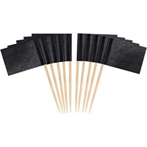 JAVD 100 banderas de palillos de dientes en blanco negro_1