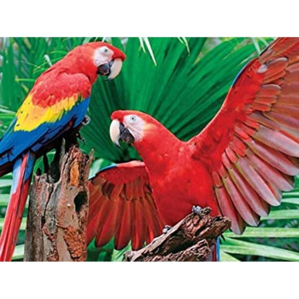 Rompecabezas Springbok Guacamayo escarlata 400 piezas_1