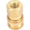 FORNEY 75127 Limpiador a presión accesorios Quick Coupler_1