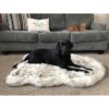 Treat A Dog Puprug Cama ortopédica de espuma