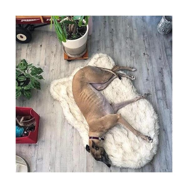 Treat A Dog Puprug Cama ortopédica de espuma