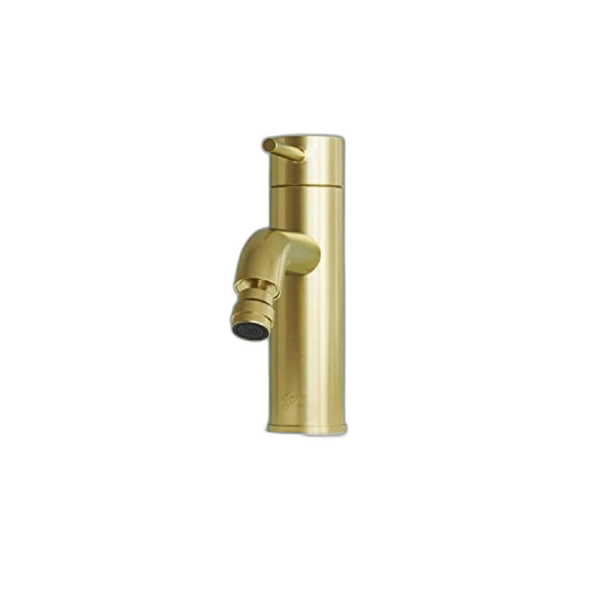 Ivy Bidet Grifo en oro cepillado