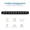 TRIPP LITE 10 puertos USB estación de carga Dock con_5