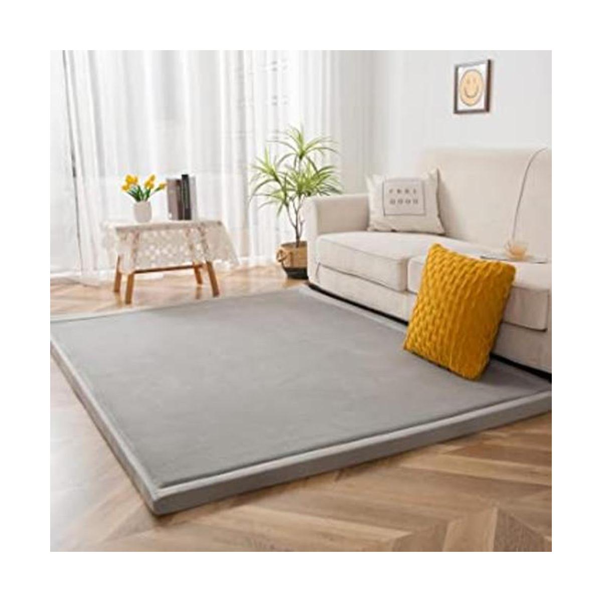 MAXYOYO Alfombra de terciopelo coral gris alfombra gruesa
