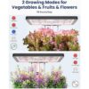 iDOO Sistema de cultivo hidropónico de 12 capas jardín_4