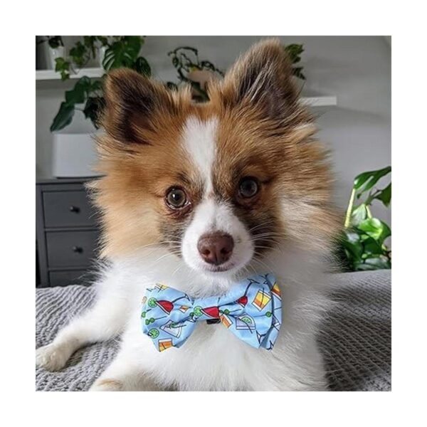Huxley Kent Pajarita para mascotas fiesta de cóctel