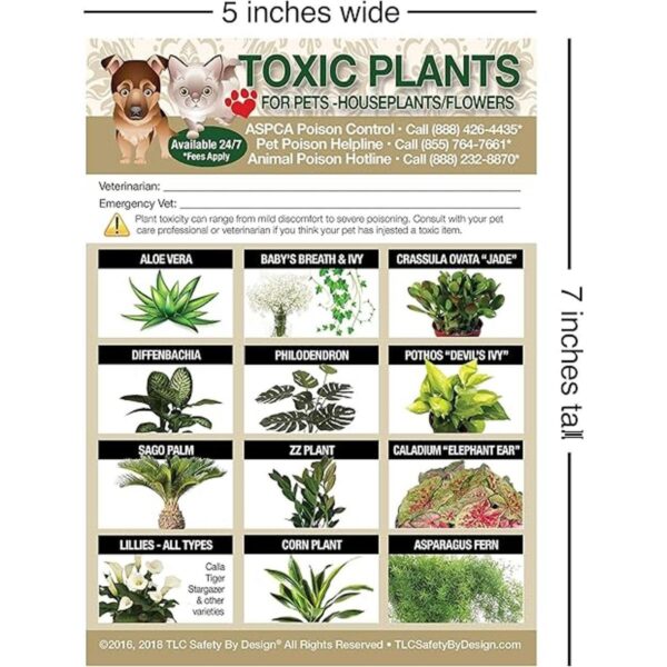 TLC Safety By Design Plantas tóxicas mejoradas flores_2