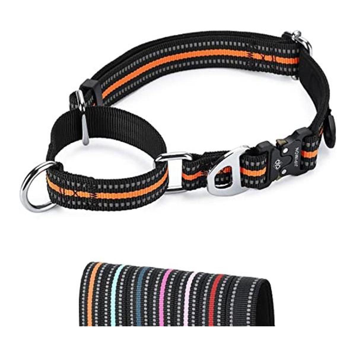 JIPIMON Martingale Collar para perro reflectante de