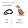 JIPIMON Martingale Collar para perro reflectante de_5