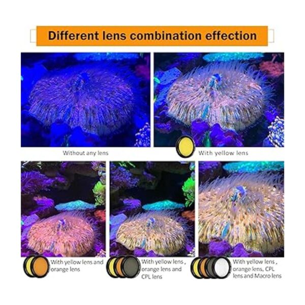 LabEdit Reef Coral Kit de 5 lentes para teléfono 1 funda_3