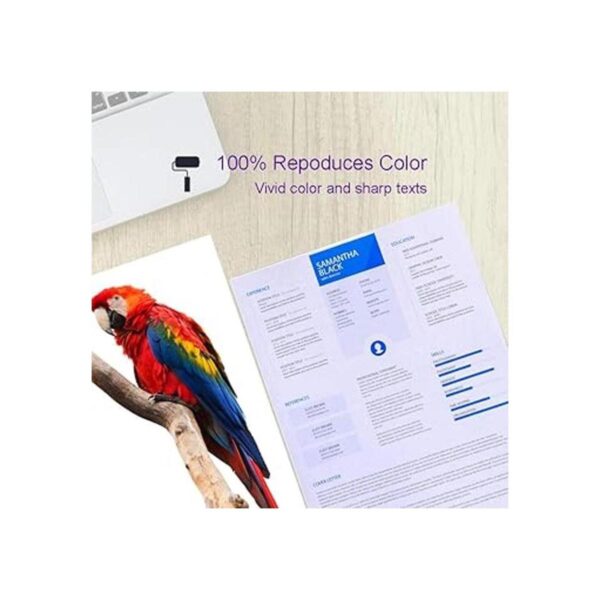 ouguan 5 Pack Replacement Ink Cartridge Combo de tinta