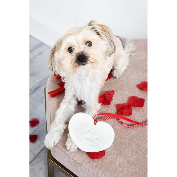 de adornos mascotas decoración de perro o gato_3