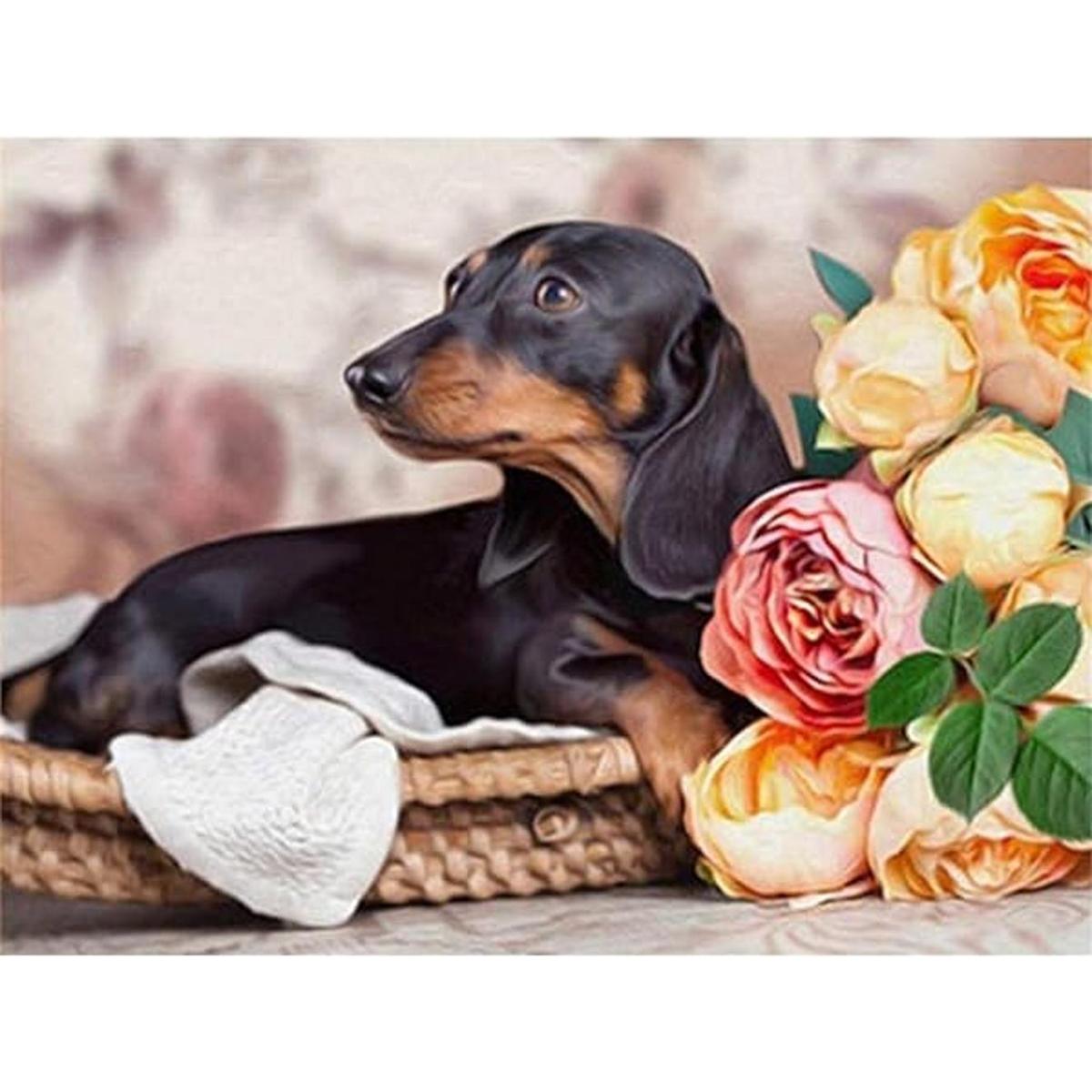 Zimal Dachshund Pintura de diamantes de imitación