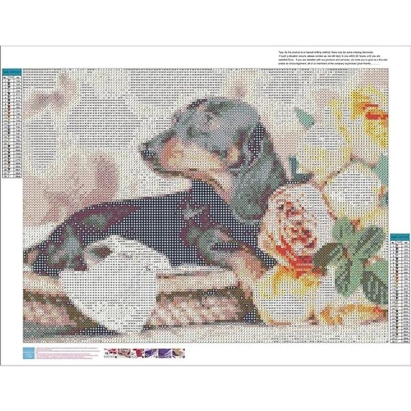 Zimal Dachshund Pintura de diamantes de imitación