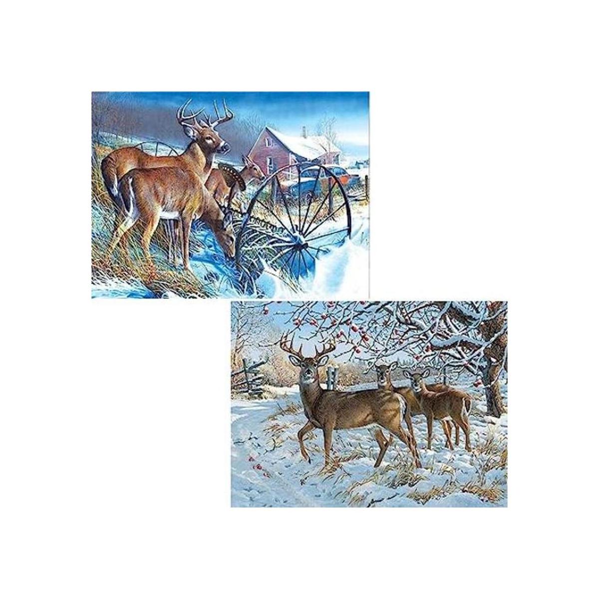 Zariocy 2 paquetes de pintura de diamante redonda taladro