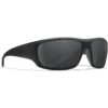 Wiley X Omega Marco negro mate con lentes grises_2