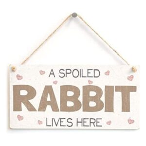 meijiafei a Spoiled conejo Lives Here Vintage PVC Conejo_1
