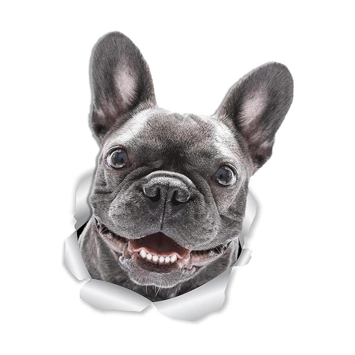 Winston Bear Adhesivos de pared para perro diseño de