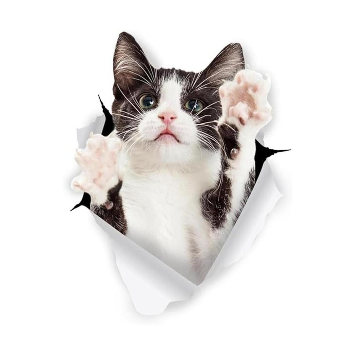 Winston Bear Calcomanías 3D para gatos Paquete de 2