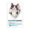 Winston Bear Calcomanías 3D para gatos Paquete de 2_5