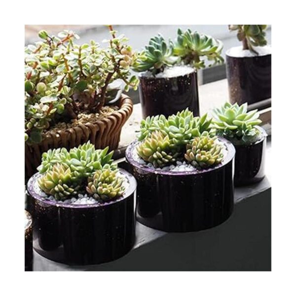 2 moldes grandes para plantas de hormigón molde de