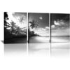 3 paneles de lienzo de playa en blanco y negro para pared_1