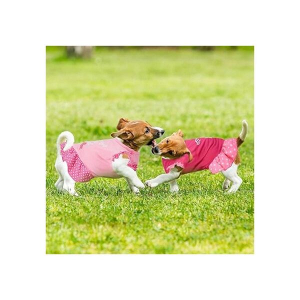4 piezas de camisa de vestir para mascotas lindo perro