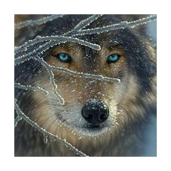 Rompecabezas de 500 piezas Fire Within Ice_1