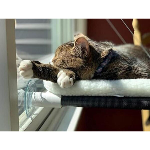 Kitty Cot Original Worlds Best Percha para gatos color
