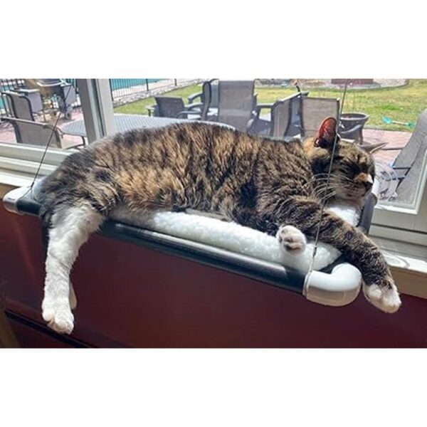 Kitty Cot Original Worlds Best Percha para gatos color