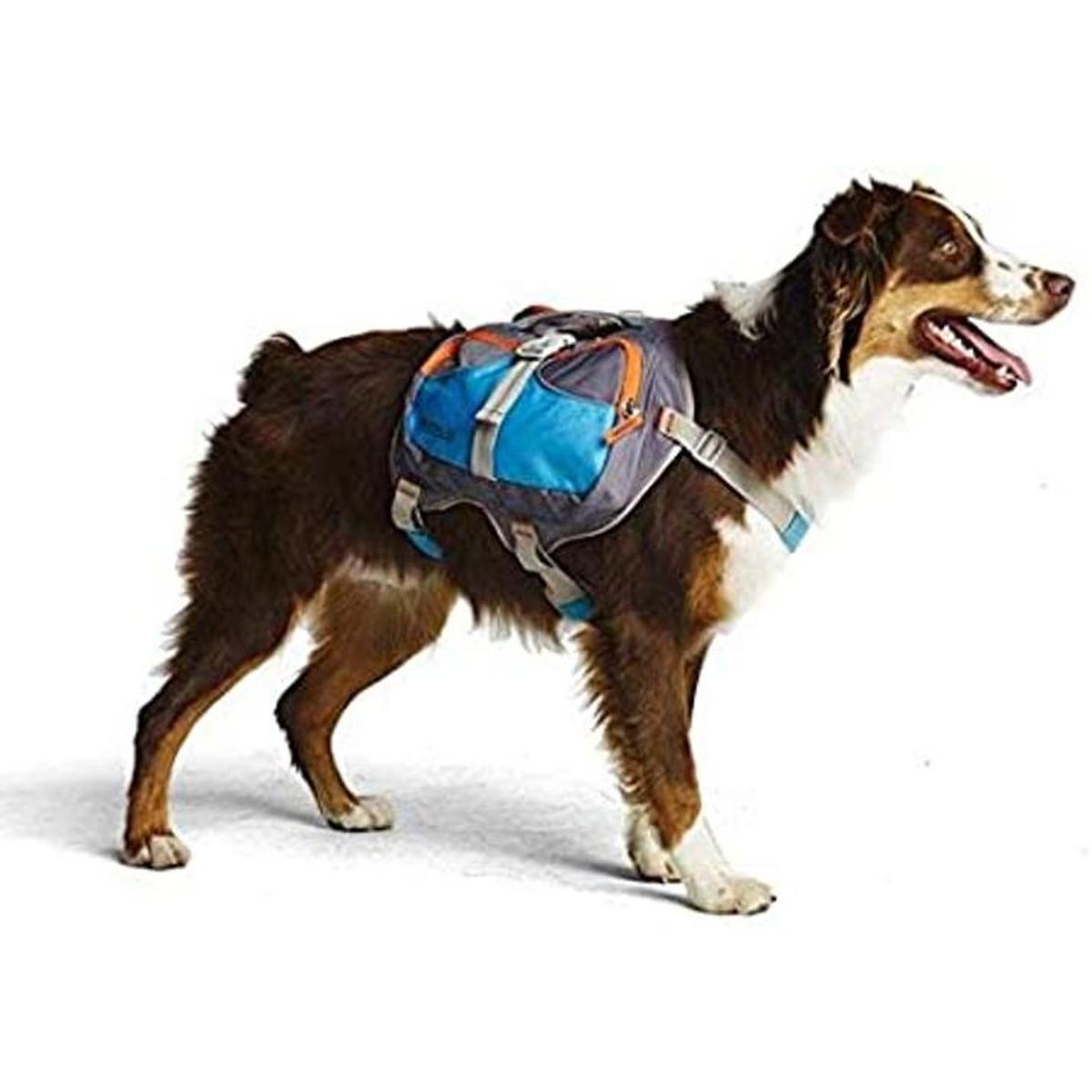Cesar Millan Backpack Mochila para perro Whisperer