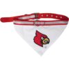 Bandana de cuello de Louisville_1