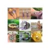 Gemas para armar collares de la marca Joe Foreman de 34_6