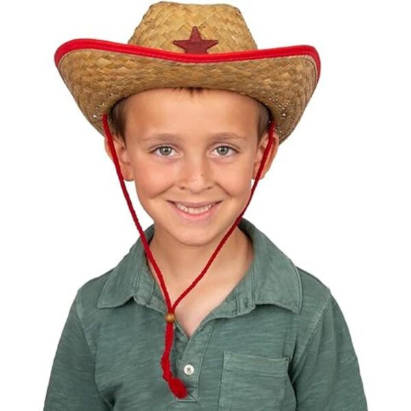 Sombreros de fiesta de vaquero docena de sombreros_2