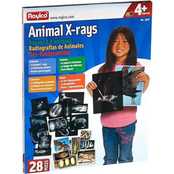Animal XRays 13 Piezas_2