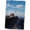 3D Rose USA Maine Cape Elizabeth Portland Head Faro_1