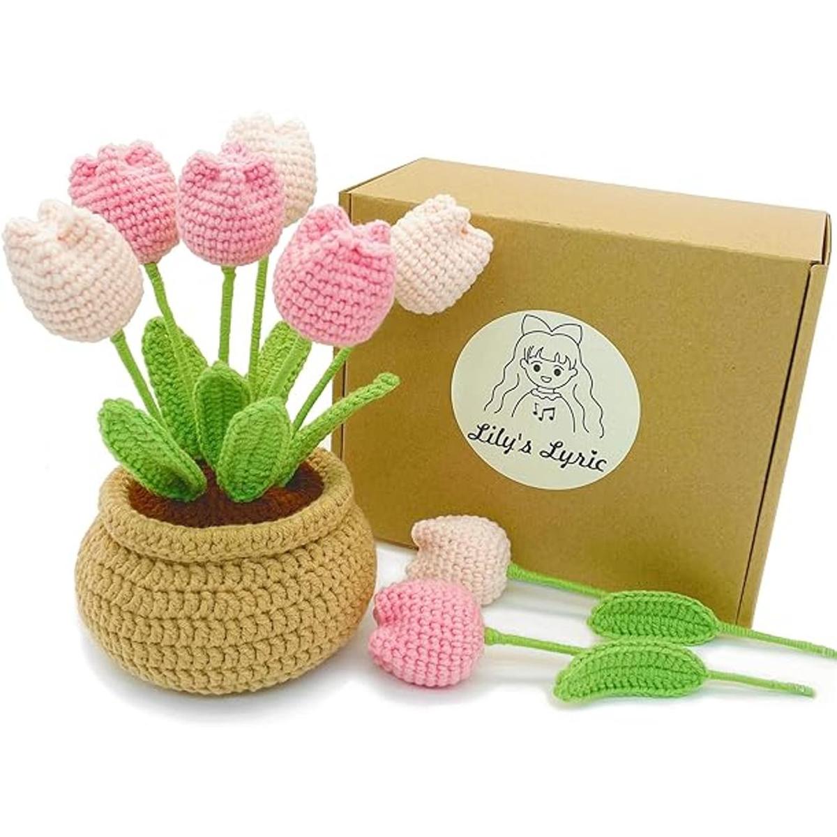 Lilys Lyric Kit de ganchillo y manualidades Maceta de