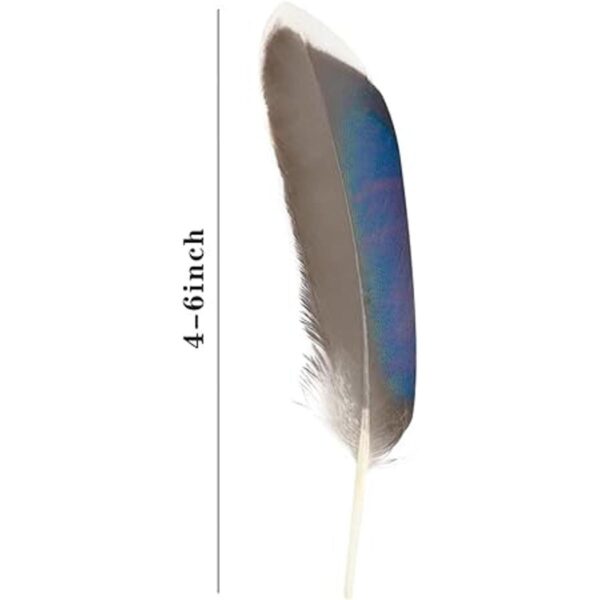 HaiMay 250 plumas de pato para manualidades boda hogar_2
