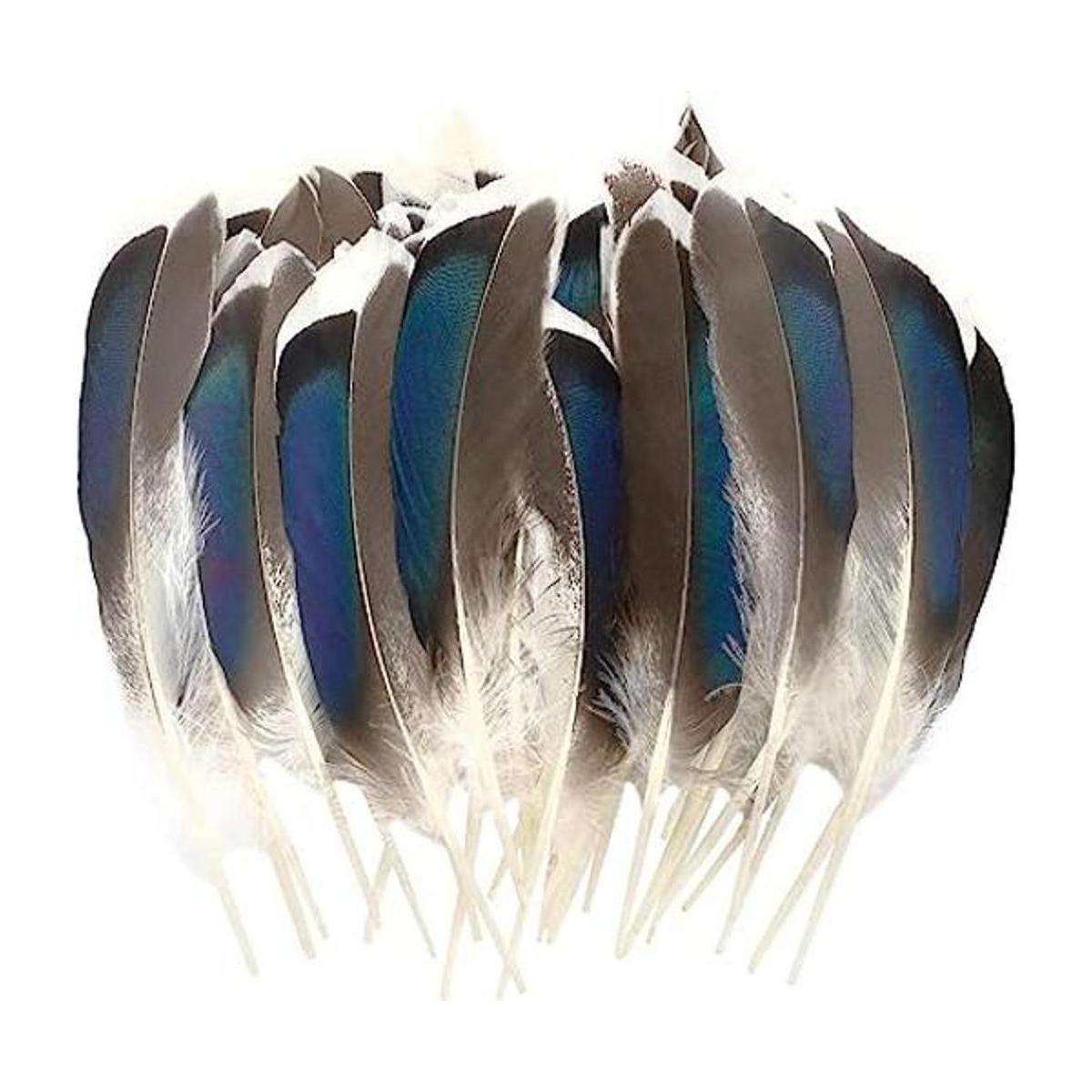 HaiMay 250 plumas de pato para manualidades boda hogar