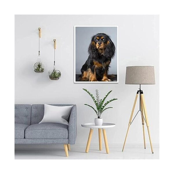 QAZWSX Kits de pintura de diamantes para perros 5D