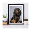 QAZWSX Kits de pintura de diamantes para perros 5D