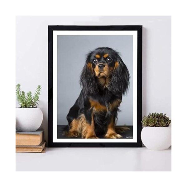 QAZWSX Kits de pintura de diamantes para perros 5D