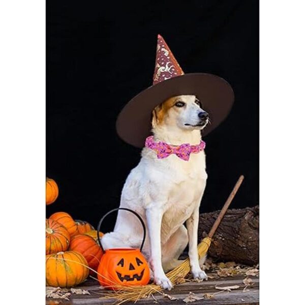 Babole Pet Collar de Halloween para perro pajarita
