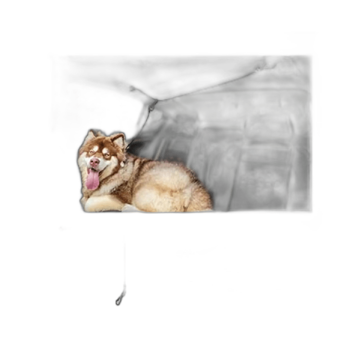 Mi Metty Cinturón de seguridad para perro arneses de
