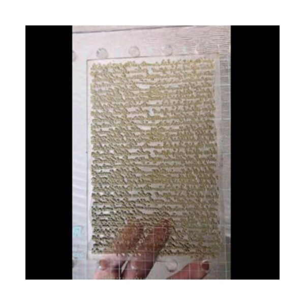 KWELLAM Sellos transparentes de fondo de palabras para_2