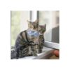 AIITLE Collar de gato con bonita pajarita y campana