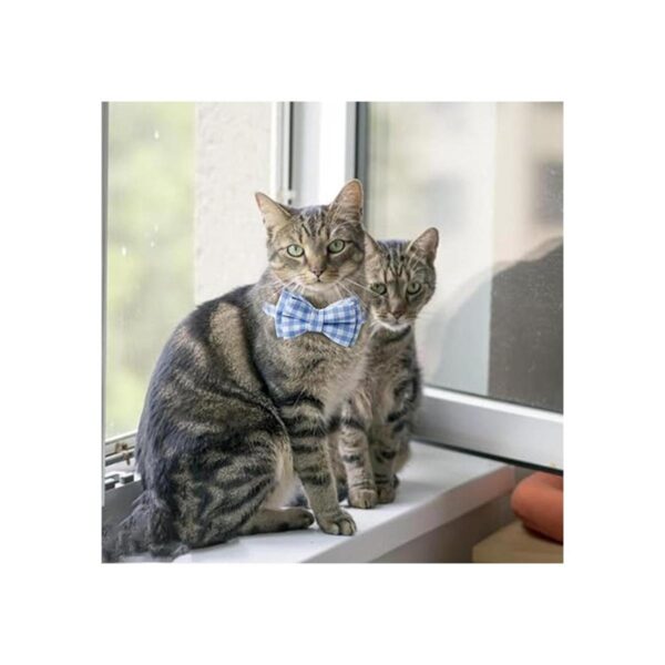 AIITLE Collar de gato con bonita pajarita y campana